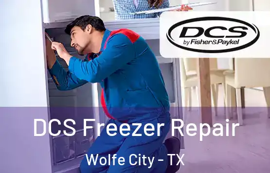  DCS Freezer Repair Wolfe City - TX