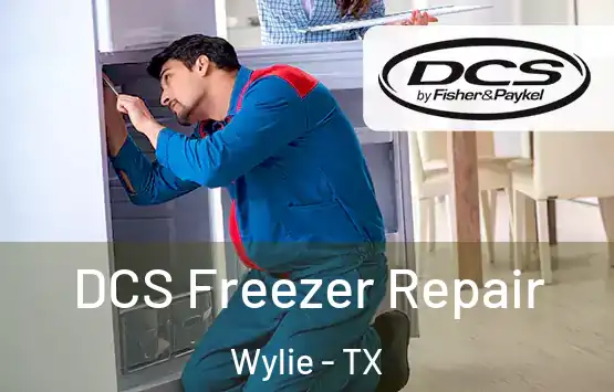  DCS Freezer Repair Wylie - TX