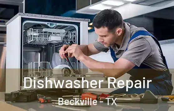  Dishwasher Repair Beckville - TX