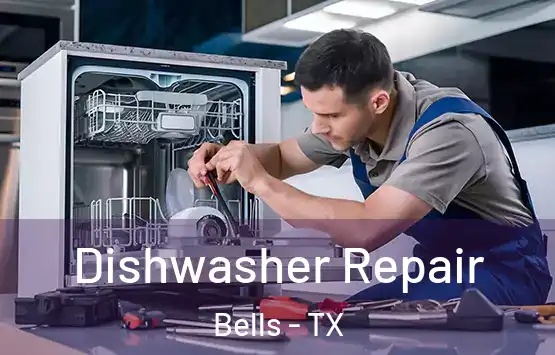  Dishwasher Repair Bells - TX