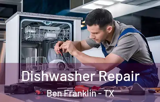  Dishwasher Repair Ben Franklin - TX