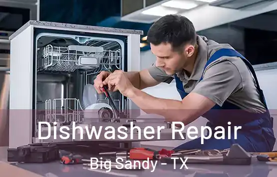  Dishwasher Repair Big Sandy - TX
