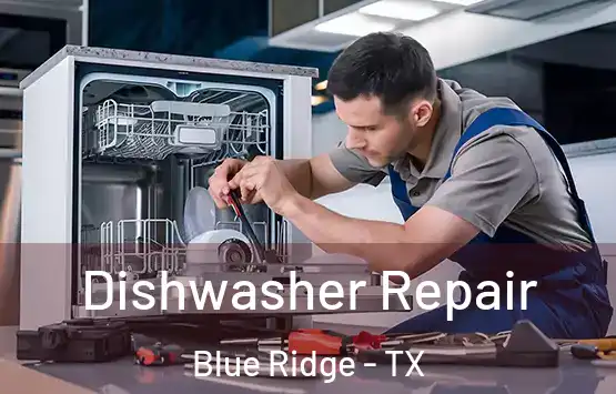  Dishwasher Repair Blue Ridge - TX