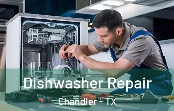  Dishwasher Repair Chandler - TX