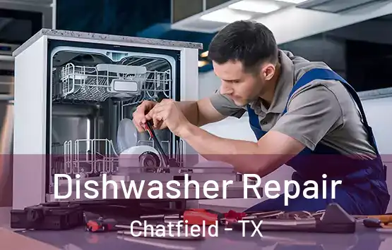  Dishwasher Repair Chatfield - TX