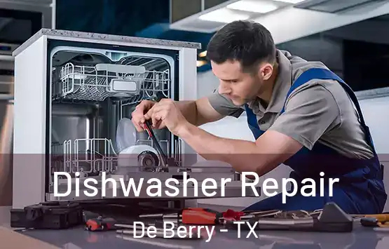  Dishwasher Repair De Berry - TX