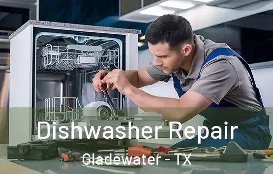  Dishwasher Repair Gladewater - TX