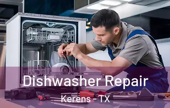  Dishwasher Repair Kerens - TX