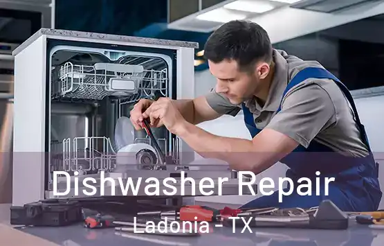  Dishwasher Repair Ladonia - TX