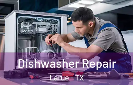  Dishwasher Repair Larue - TX