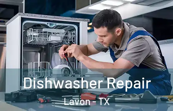  Dishwasher Repair Lavon - TX