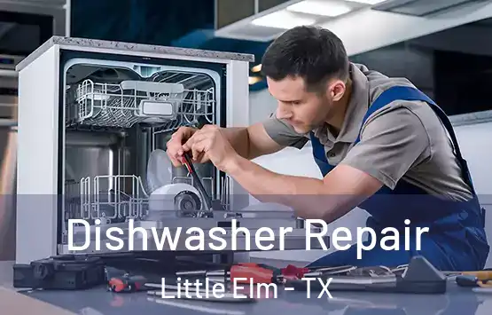  Dishwasher Repair Little Elm - TX