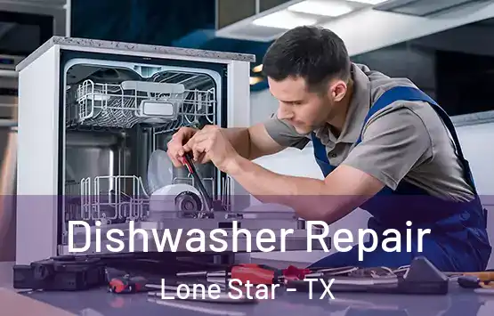  Dishwasher Repair Lone Star - TX