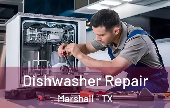  Dishwasher Repair Marshall - TX