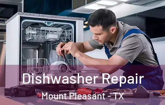  Dishwasher Repair Mount Pleasant - TX