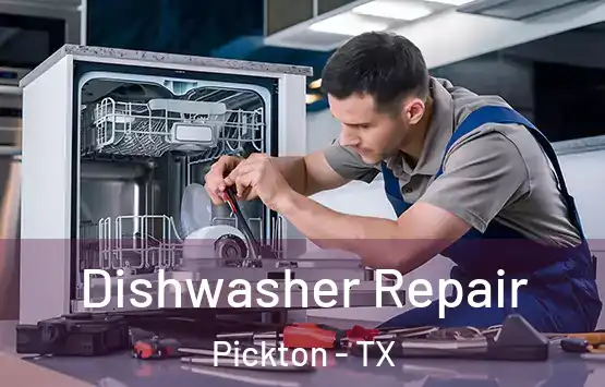  Dishwasher Repair Pickton - TX