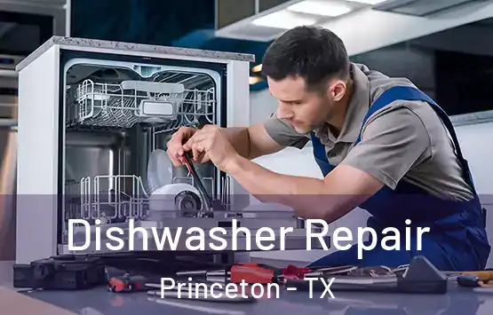  Dishwasher Repair Princeton - TX