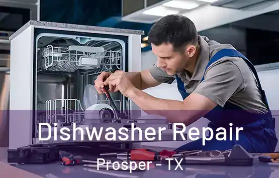  Dishwasher Repair Prosper - TX