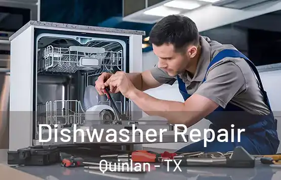  Dishwasher Repair Quinlan - TX