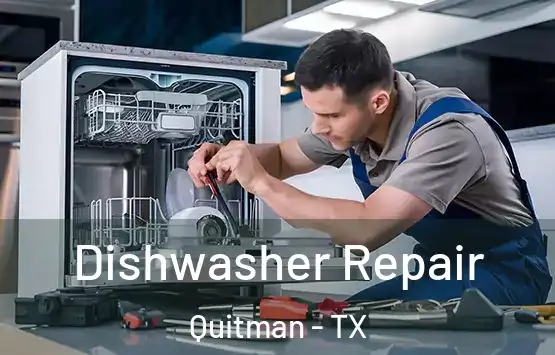  Dishwasher Repair Quitman - TX