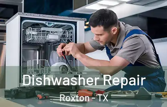  Dishwasher Repair Roxton - TX