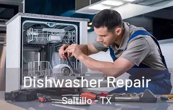  Dishwasher Repair Saltillo - TX