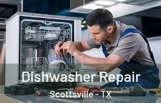  Dishwasher Repair Scottsville - TX
