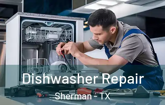  Dishwasher Repair Sherman - TX