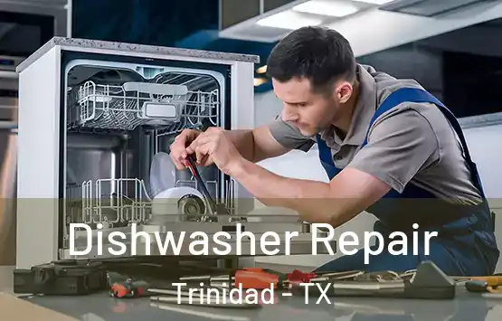  Dishwasher Repair Trinidad - TX