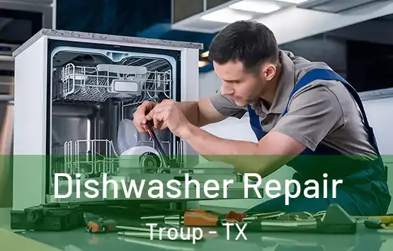  Dishwasher Repair Troup - TX