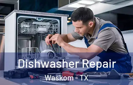  Dishwasher Repair Waskom - TX