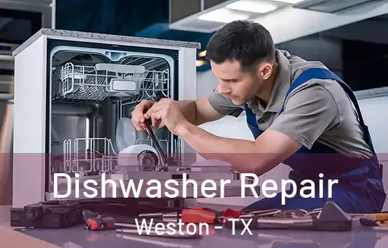  Dishwasher Repair Weston - TX