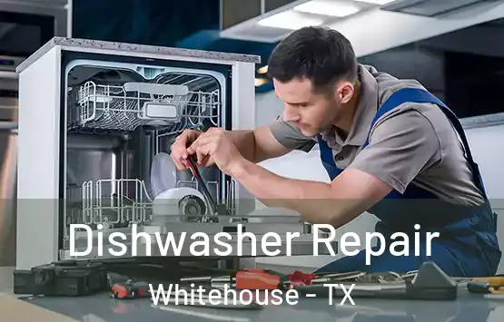  Dishwasher Repair Whitehouse - TX