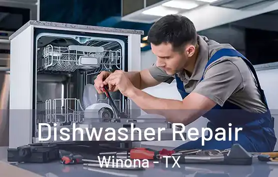  Dishwasher Repair Winona - TX