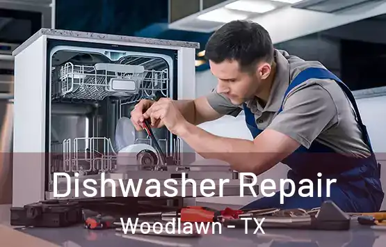  Dishwasher Repair Woodlawn - TX