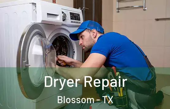  Dryer Repair Blossom - TX