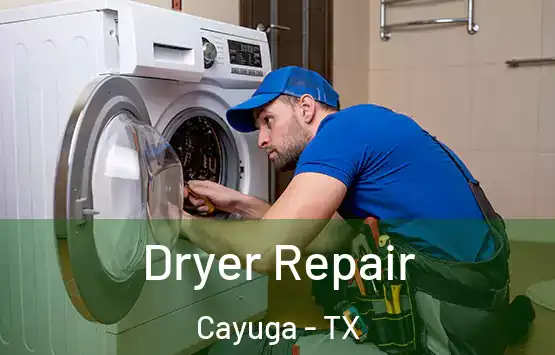  Dryer Repair Cayuga - TX