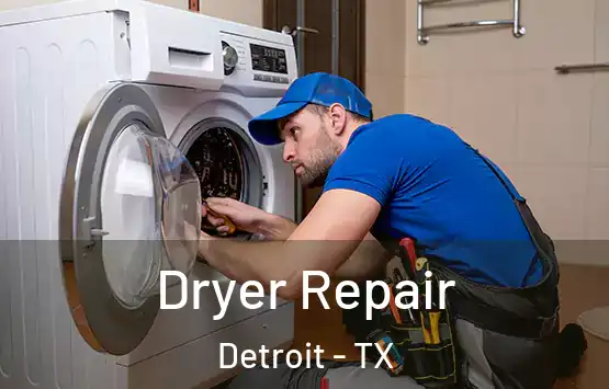  Dryer Repair Detroit - TX