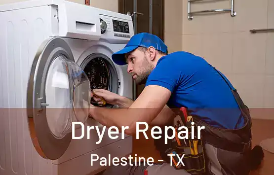  Dryer Repair Palestine - TX