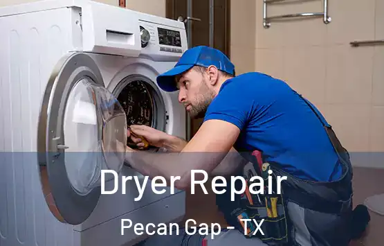  Dryer Repair Pecan Gap - TX