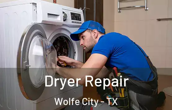 Dryer Repair Wolfe City - TX