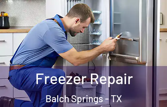  Freezer Repair Balch Springs - TX