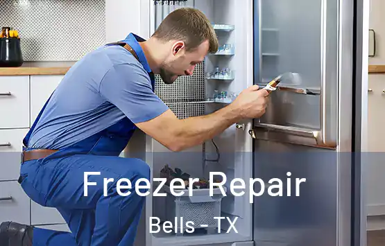  Freezer Repair Bells - TX