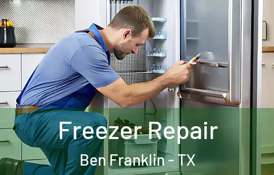  Freezer Repair Ben Franklin - TX
