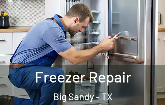  Freezer Repair Big Sandy - TX