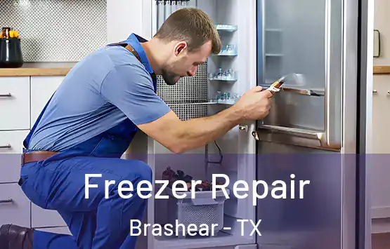  Freezer Repair Brashear - TX