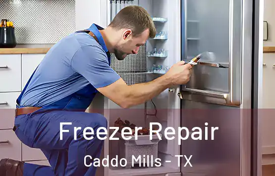  Freezer Repair Caddo Mills - TX