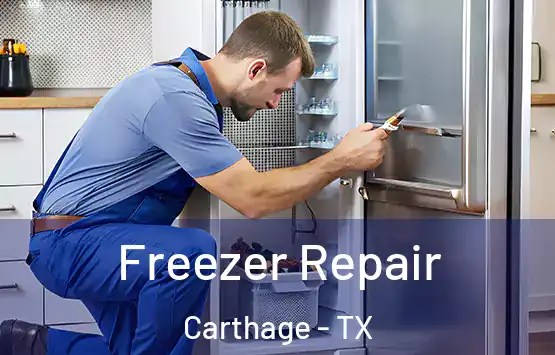  Freezer Repair Carthage - TX