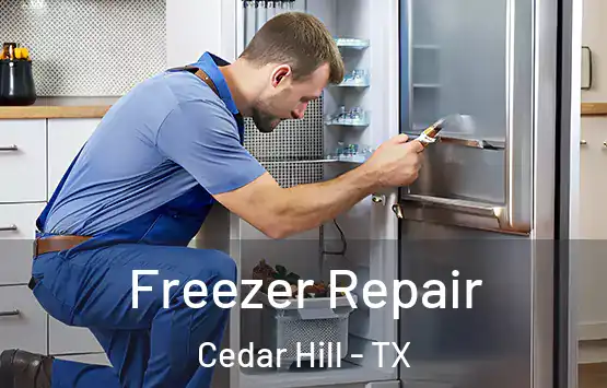  Freezer Repair Cedar Hill - TX
