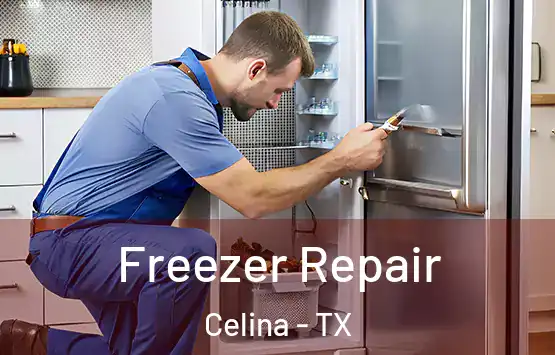  Freezer Repair Celina - TX